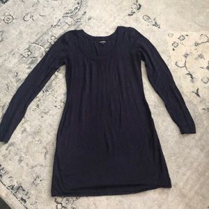 Express long sweater/sweater dress